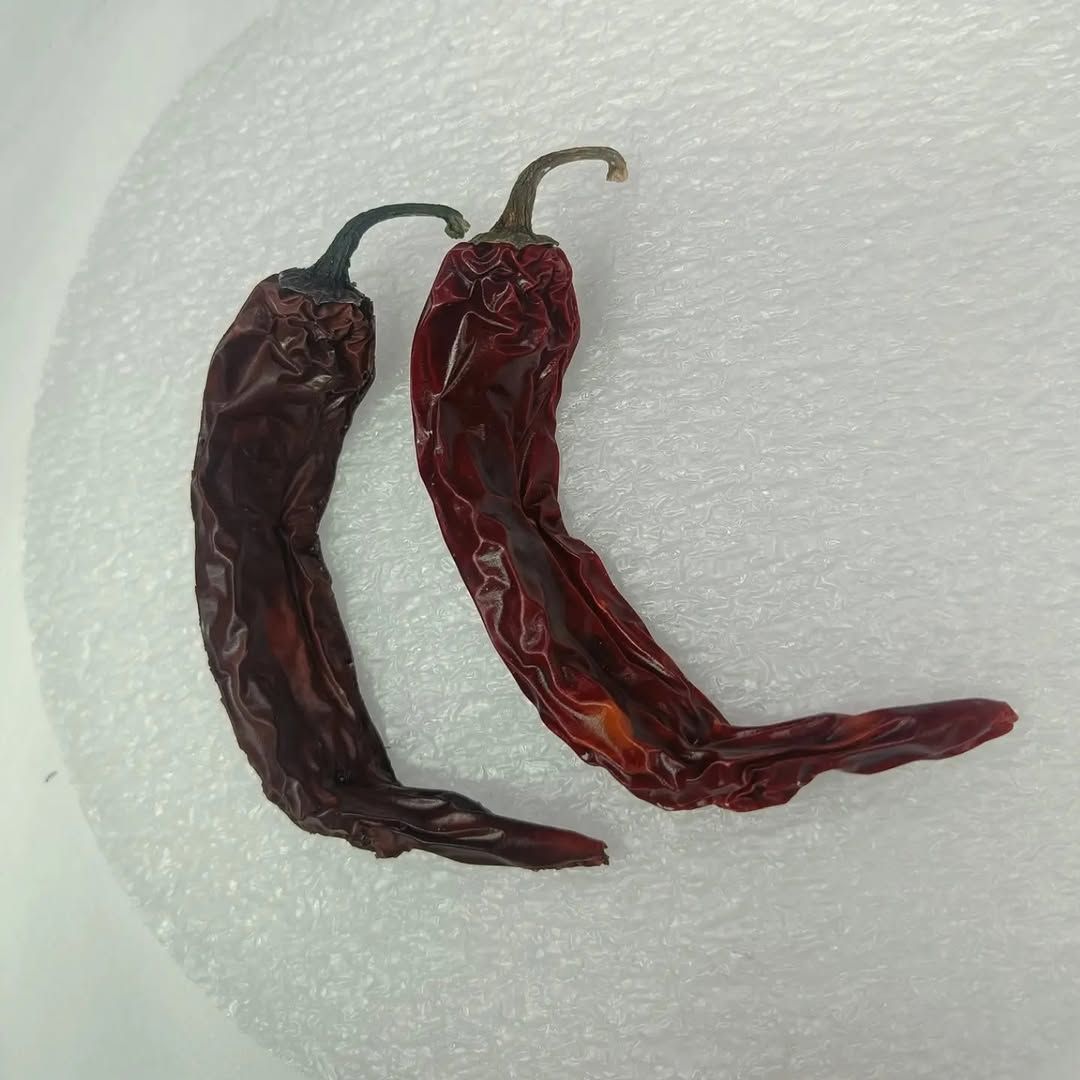 Gedroogde pepers als oefenobject voor mallen maken